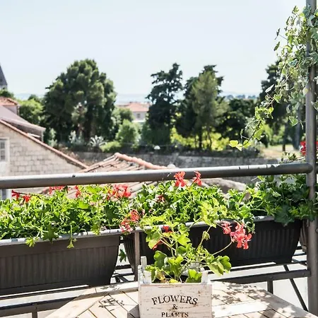 Galla Guest house 3*